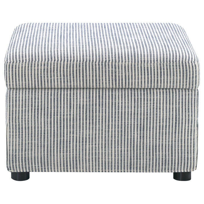 Winter Storage Ottoman