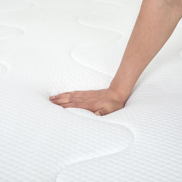 Catmint 12" Twin Innerspring Mattress
