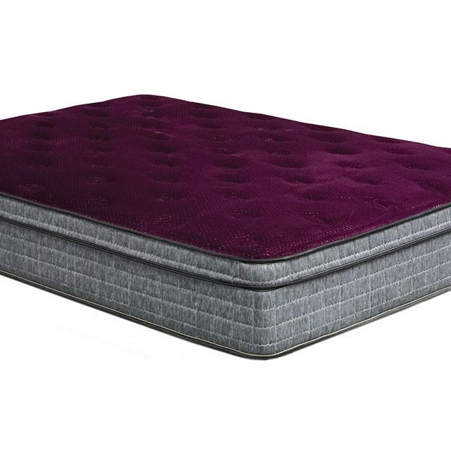 Purple/Grey 13" Euro Pillow Top Mattress Non-Flip, Full