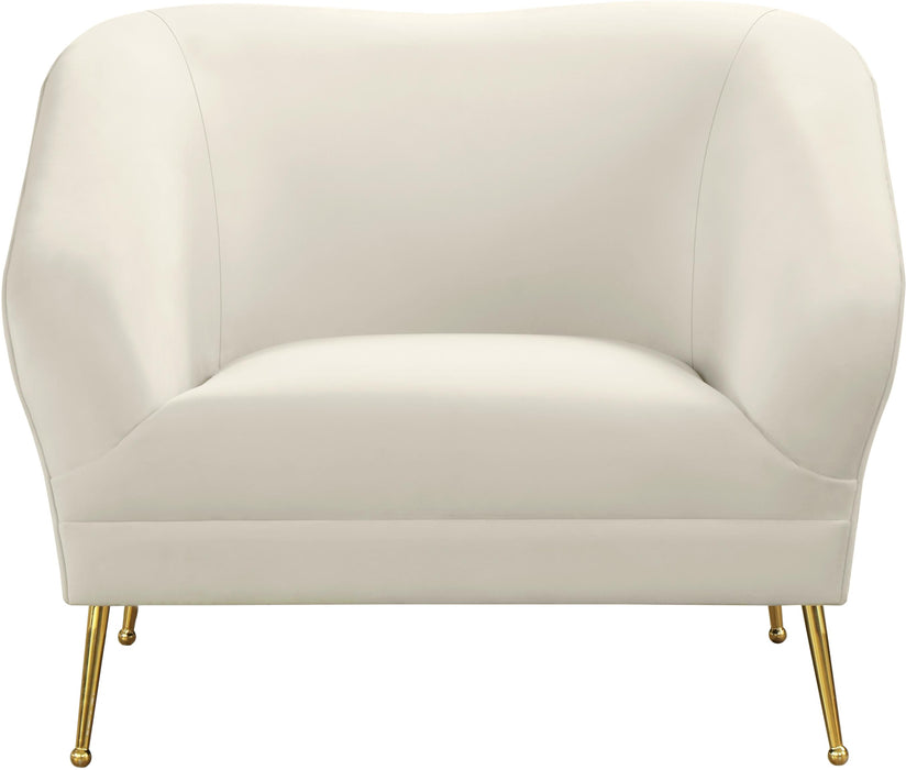 Hermosa Cream Velvet Chair - D&N Furniture (PA)