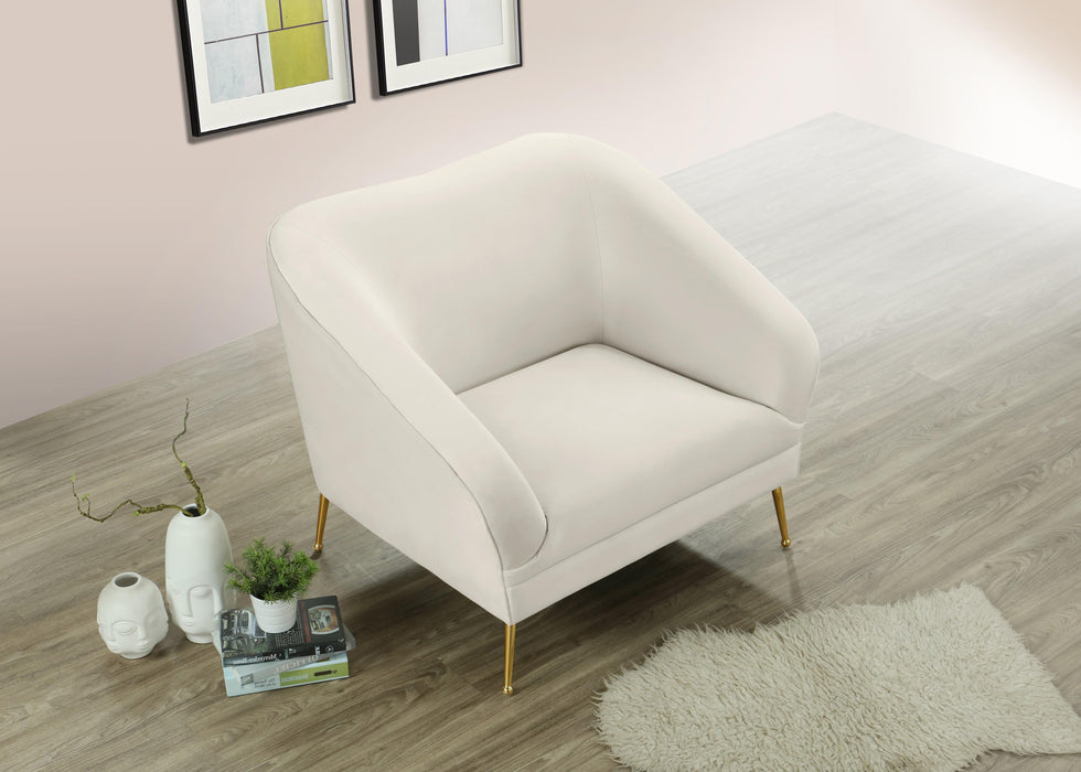 Hermosa Cream Velvet Chair - D&N Furniture (PA)