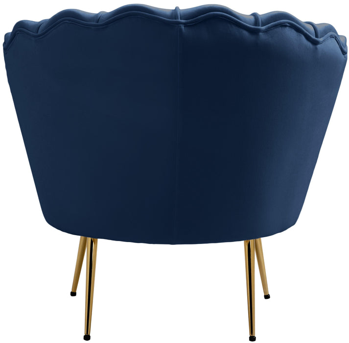 Gardenia Navy Velvet Chair - D&N Furniture (PA)