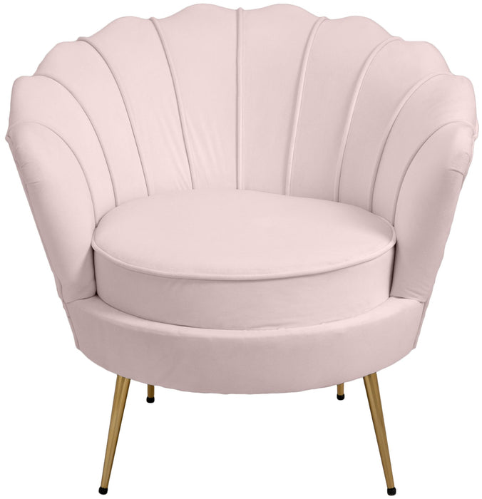Gardenia Pink Velvet Chair - D&N Furniture (PA)