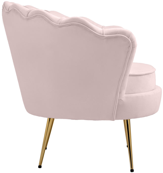 Gardenia Pink Velvet Chair - D&N Furniture (PA)