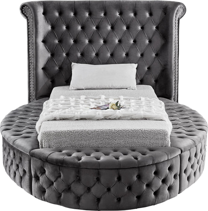 Luxus Grey Velvet Twin Bed (3 Boxes) - D&N Furniture (PA)