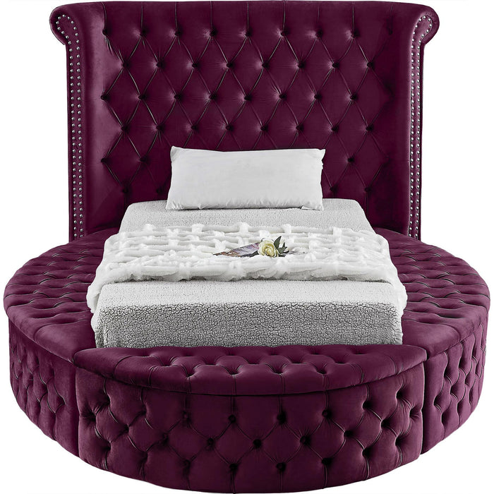 Luxus Purple Velvet Twin Bed - D&N Furniture (PA)