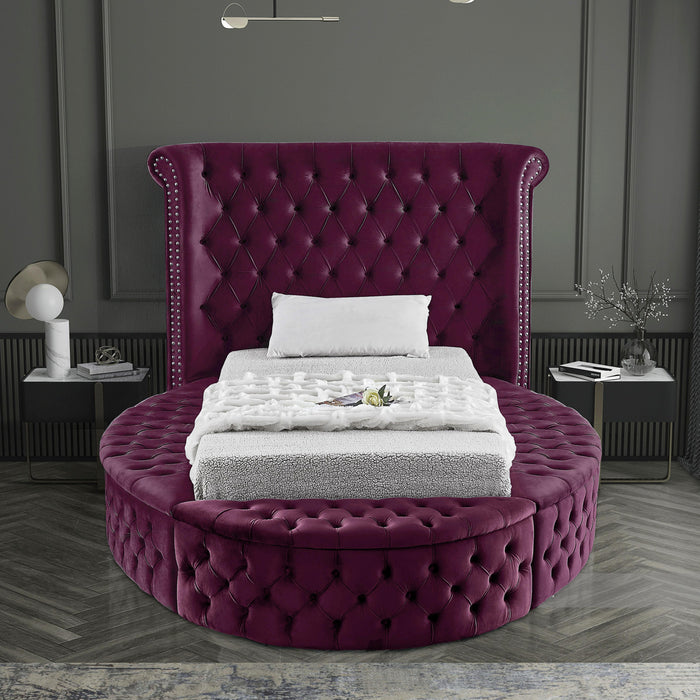 Luxus Purple Velvet Twin Bed - D&N Furniture (PA)
